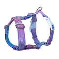 Blue-purple gradient