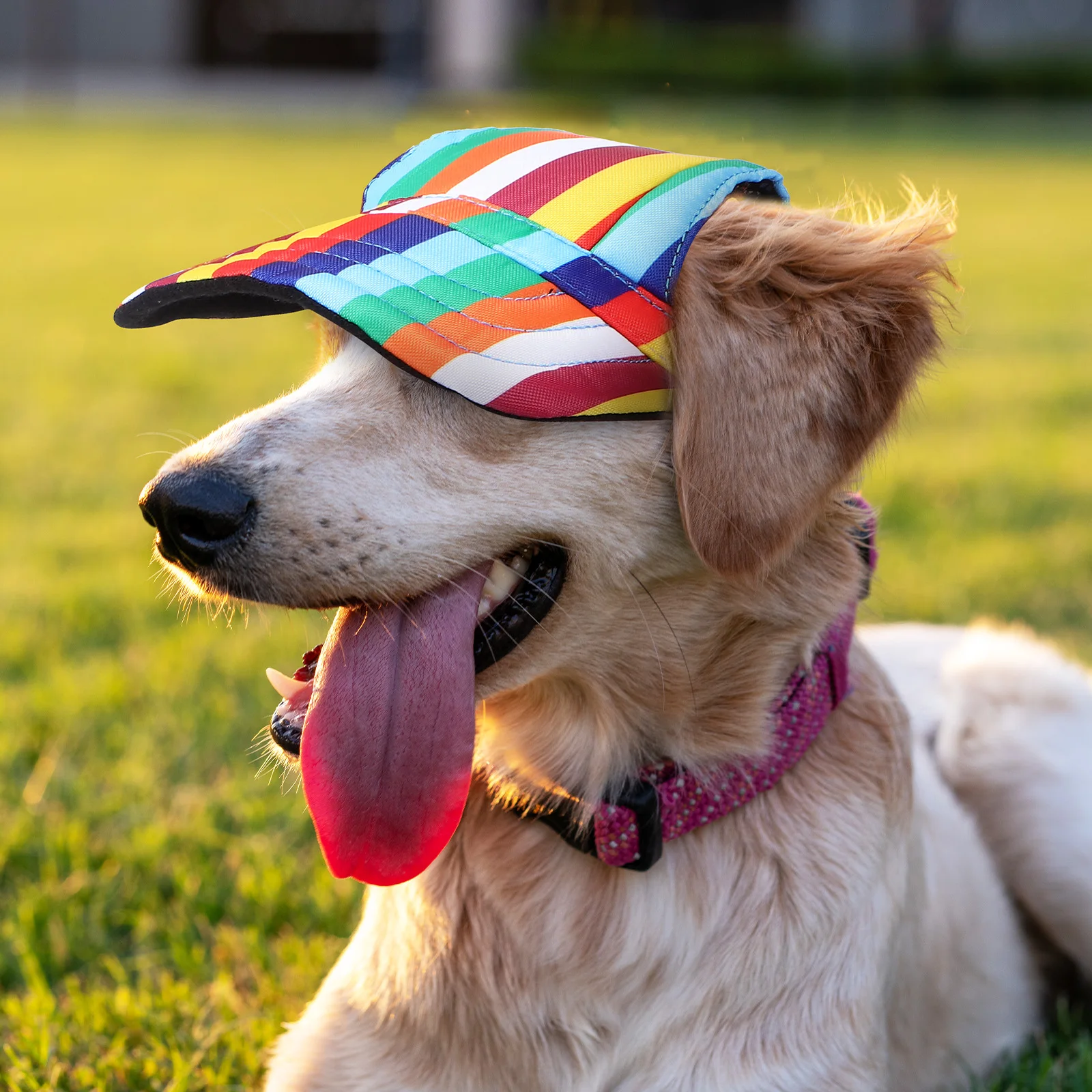 

2 Pcs Dog Sports Hats Summer Beach Cap for Small Medium Dogs Rainbow Stripe Design Sun Protection Pet Accessories