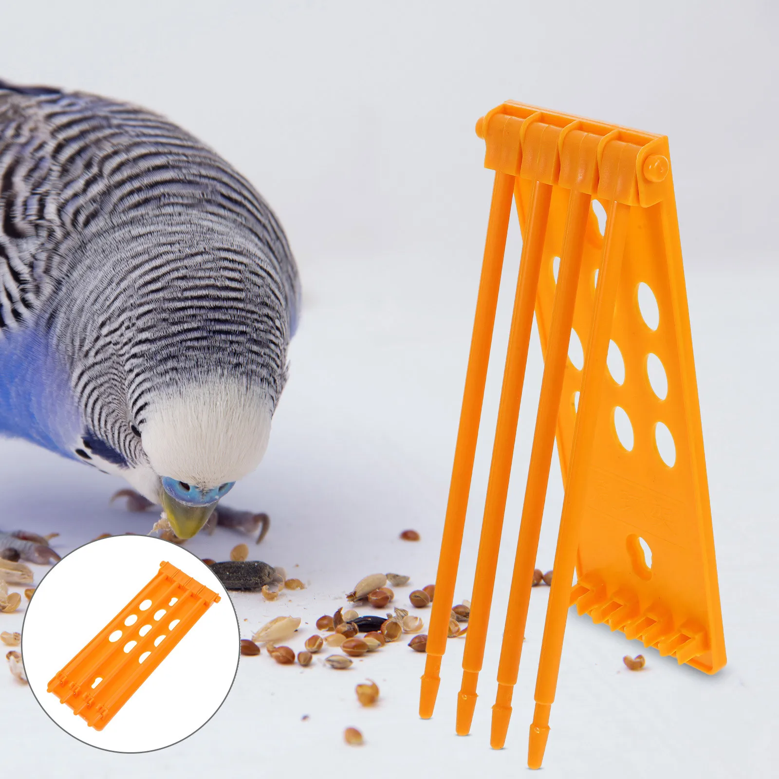 

4Pcs Pigeon Leg Ring Holder for Bird Identification Bands Easy Access Foot Ring Organizer Poultry Chicken Quail Parrot Leg Band