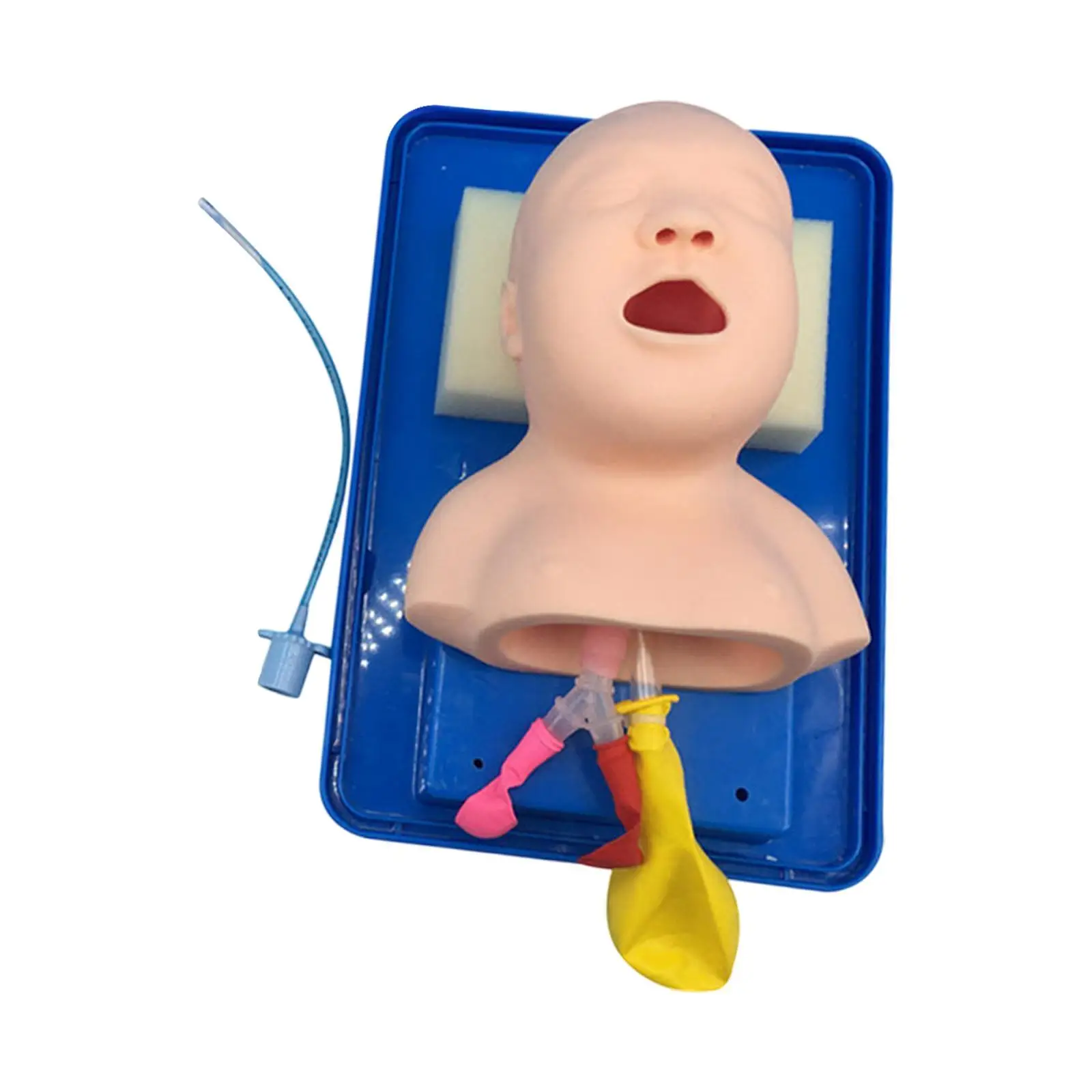 Tracheal Child Airway Management Train Tool,Pediatric Intubation Manikin,Infant