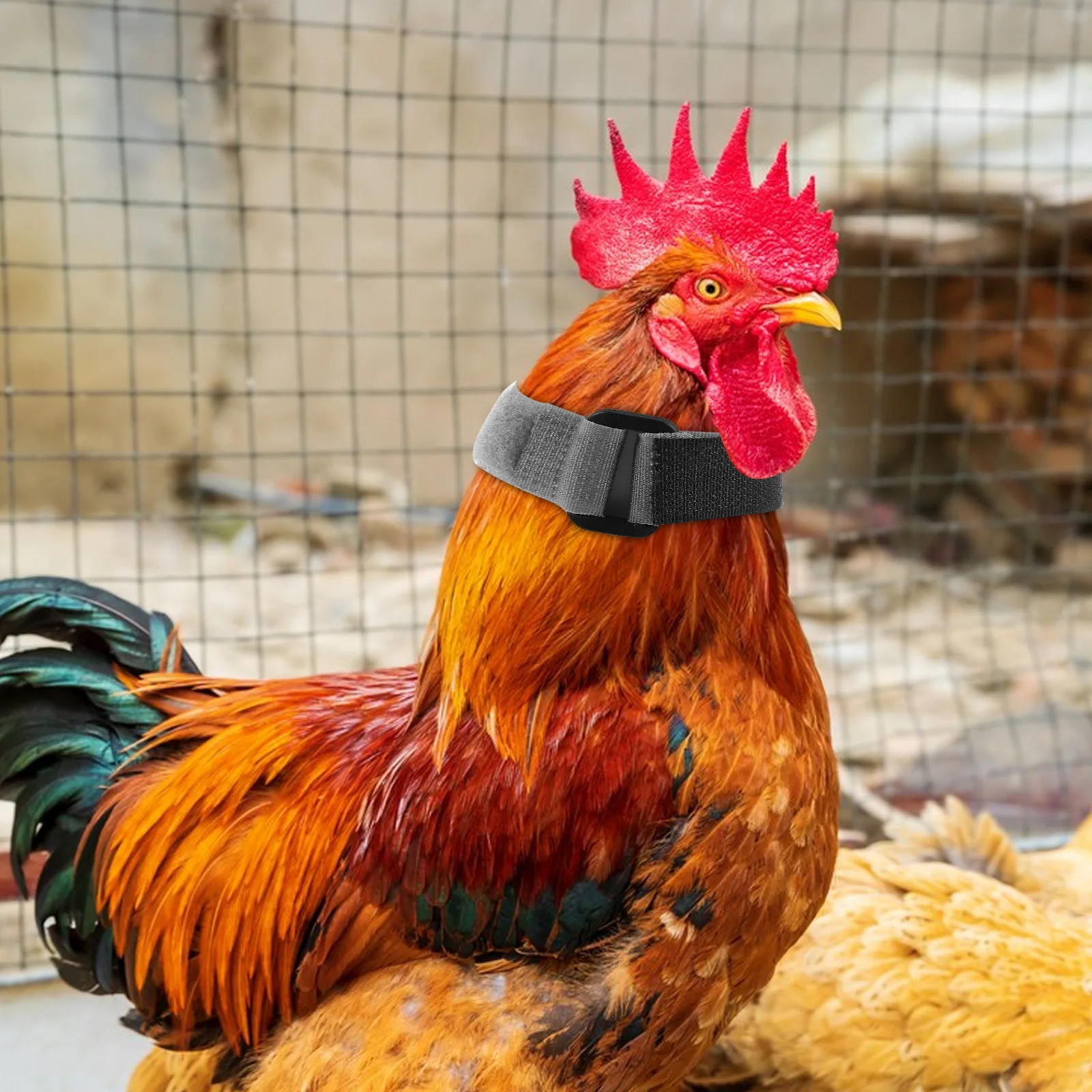 

4Pcs Adjustable Noise Neckbands Rooster Collar No Crow Stopper Flexible Chicken Duck Goose Poultry Crowing Control Collar