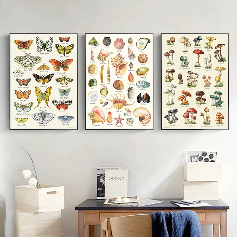 Vintage Butterfly Insects Fungi Shell Collection Chart Poster Prints Canvas Printing Wall Art Picture for Living Room Home Decor