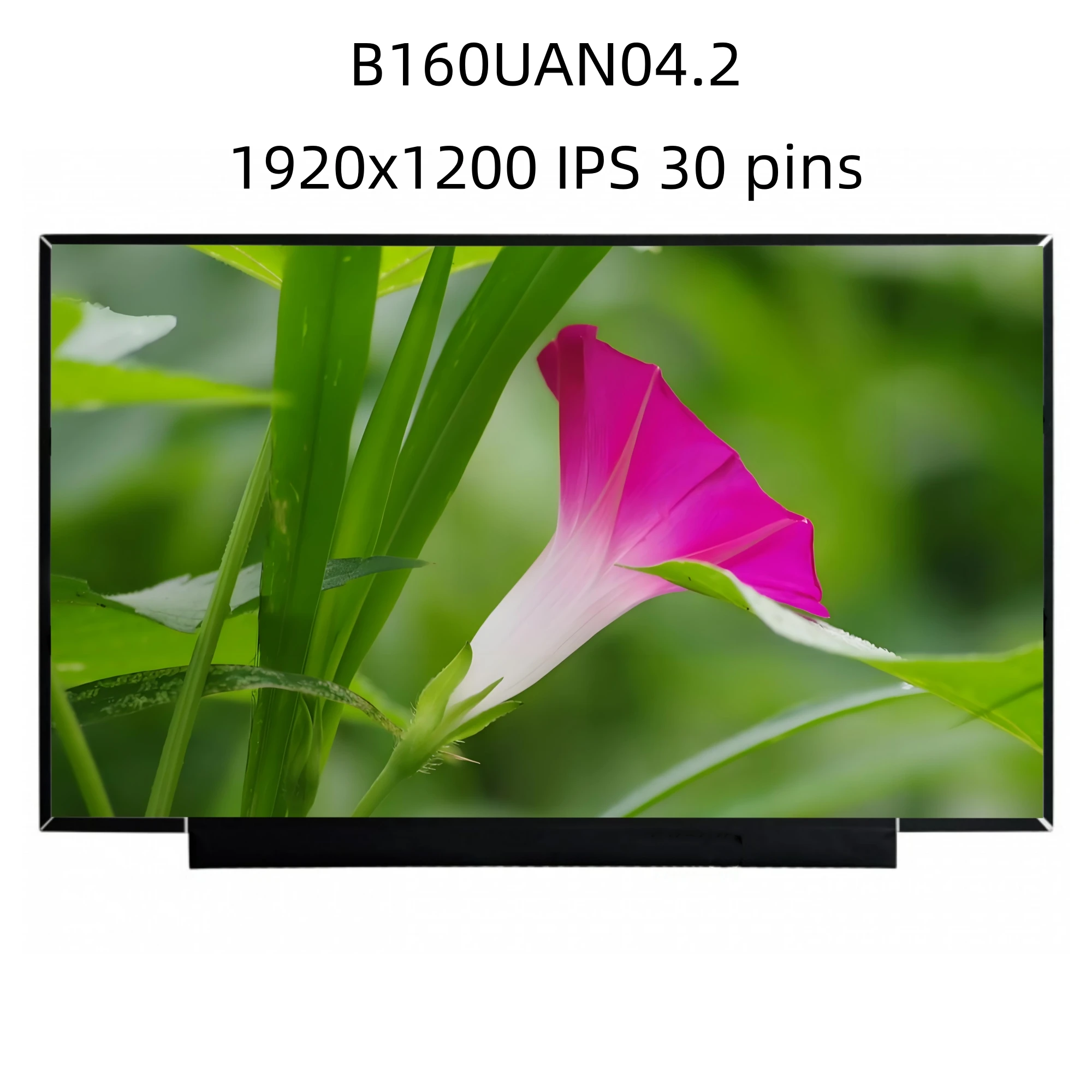 

B160UAN04.2 0A 1920x1200 16 inch 16:10 IPS 60HZ 30 Pins Laptop Screen Slim LED Matrix LCD