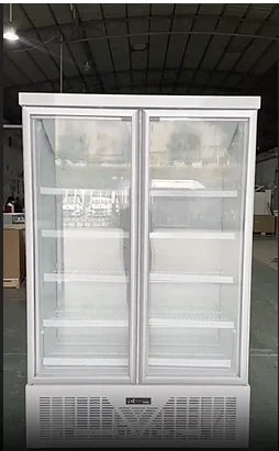 Frozen Fish Vertical Showcase Glass Door Freezer Upright Showcase Freezer