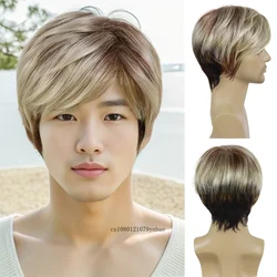 Ombre Blonde Brown Wigs Synthetic Hair Short Wig with Side Bangs for Men Heat Resistant Cosplay Halloween Daily Natural Looking