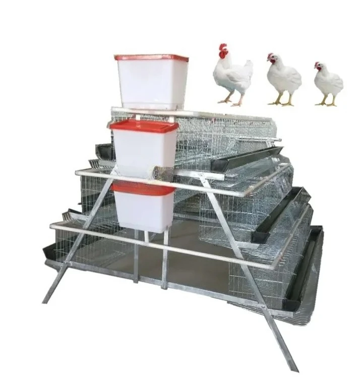 

Cage Options for Efficient Poultry Farming a Type Layer and Broiler Chicken Cages for 128 Birds