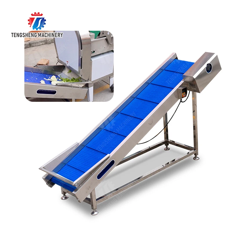 آلة مصعد الفاكهة للبيع بالجملة والتفاح الطازج والموز والبرتقال والعنب التعامل مع بناء متين من الفولاذ المقاوم للصدأ #1