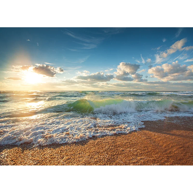 Zomer Tropische Zee Strand Palmen Boom Fotografie Achtergrond Natuurlijke Schilderachtige Foto Achtergronden Fotostudio Props 2133 HHB-02