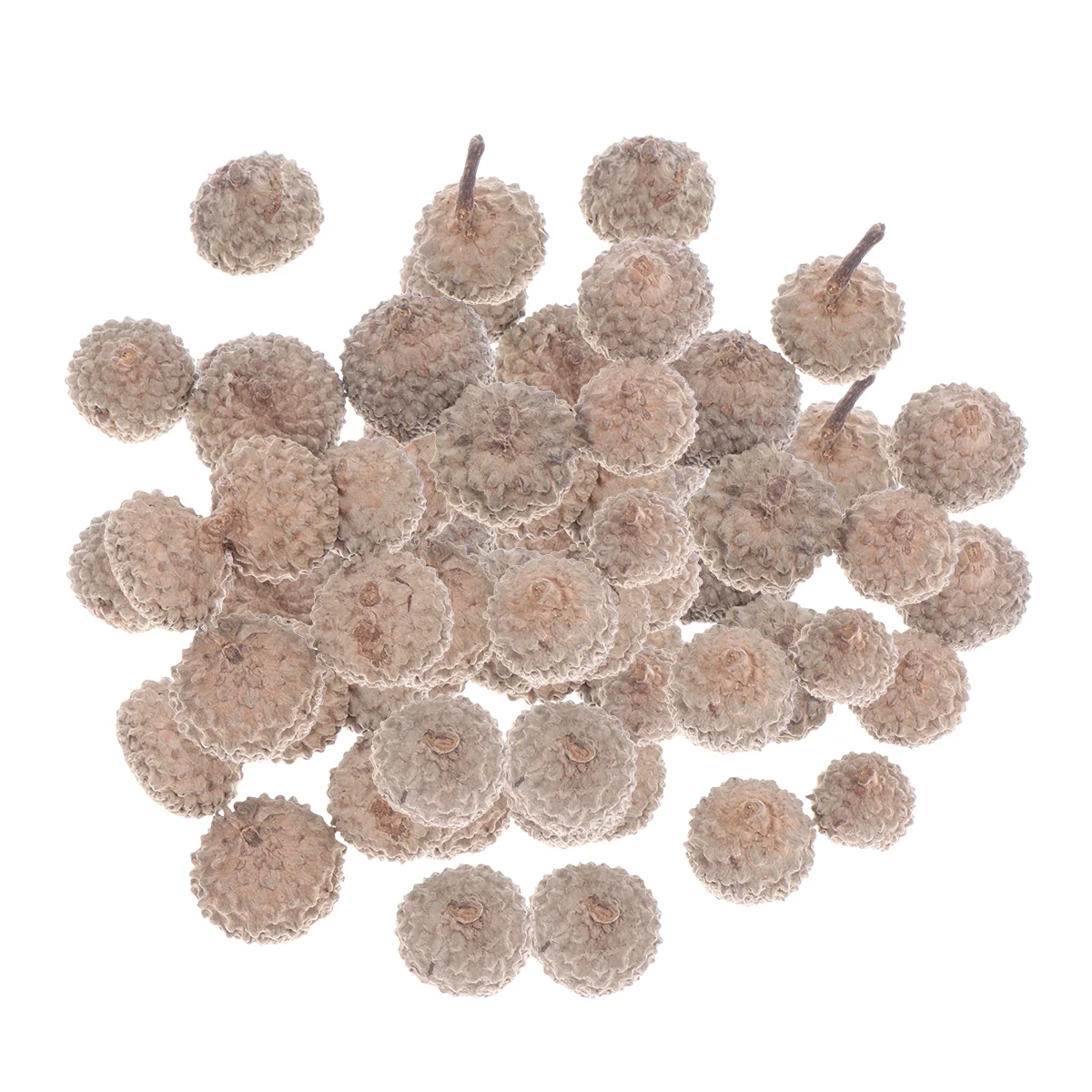 100 Pcs Wedding Table Decoration New Year Decorations Vase Acorn Filler Dry Ornament Natural