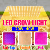 40W 20W LED Grow Light Full Spectrum Quantum Board Plant Lamp Flower Vegetable Cultivation Hydroponics Growing Lights AC100-277V