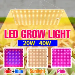 40W 20W LED Grow Light Full Spectrum Quantum Board Plant Lamp Flower Vegetable Cultivation Hydroponics Growing Lights AC100-277V