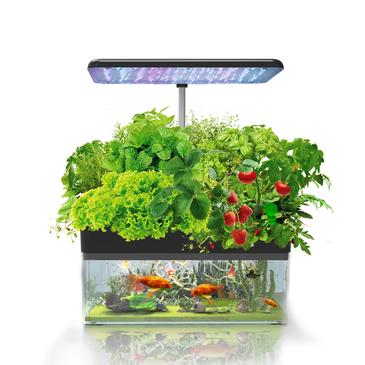 Indoor Hydroponic Planting Aquaponic LED Grow Light and Fishtank With Smart Gardens System and Fish Culture System