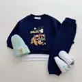 WTZQD01