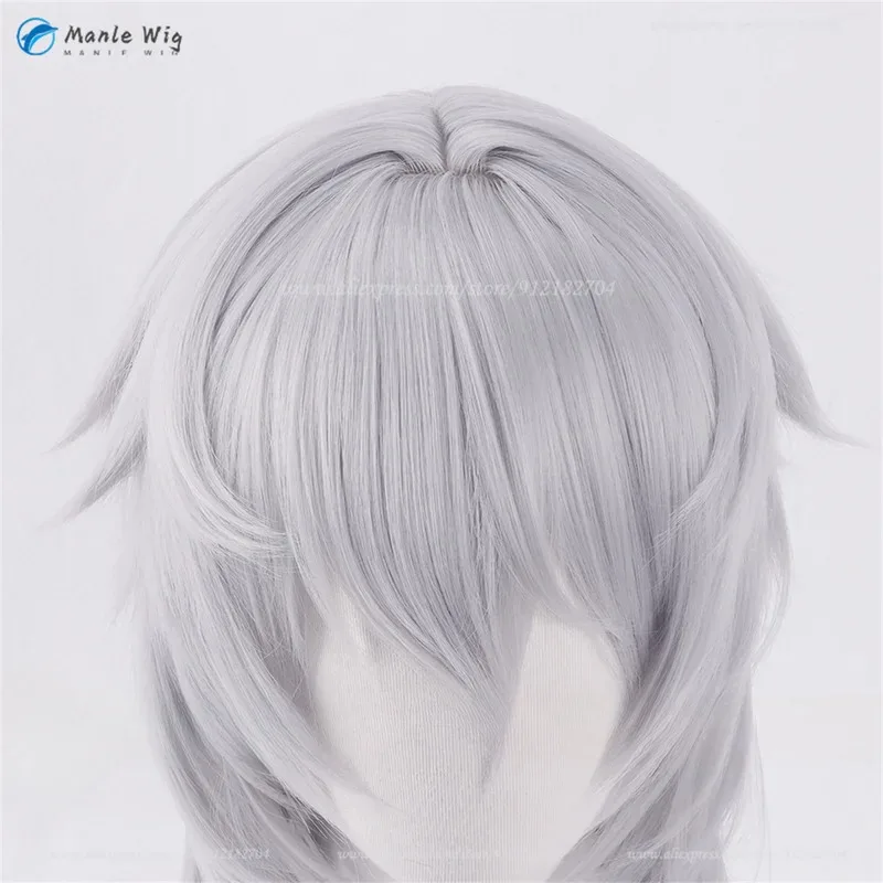 Jishi Cosplay Wig Furouji Jishi's Long Silver Gray Cosplay Wig, suitable for Halloween and Christmas parties