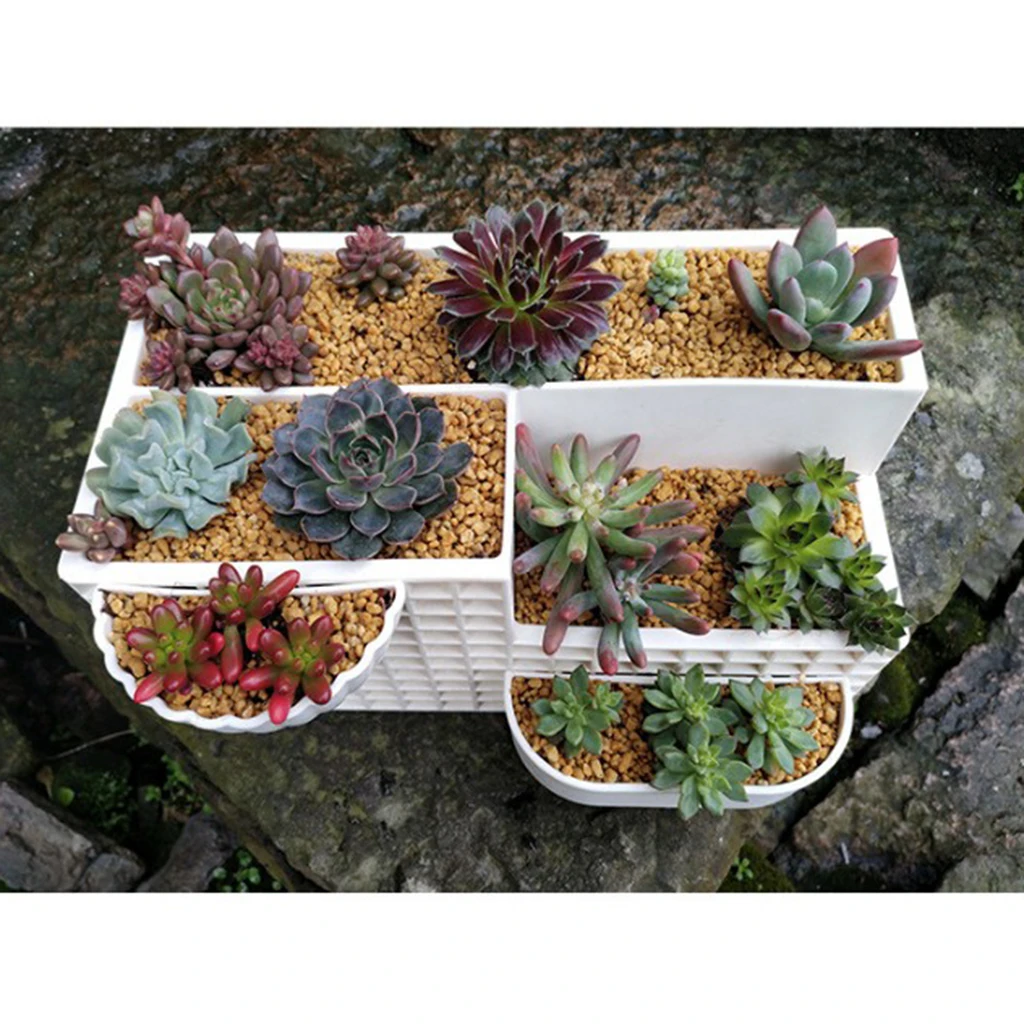 Succulent Flower Pot Combo Plastic Display Container Office Tabletop Vase