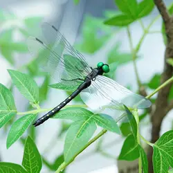 4/10/20pcs Outdoor Mosquito Repellent Simulation Of Large Dragonfly Dragonfly Model Toy The Wing Length Is 14cm