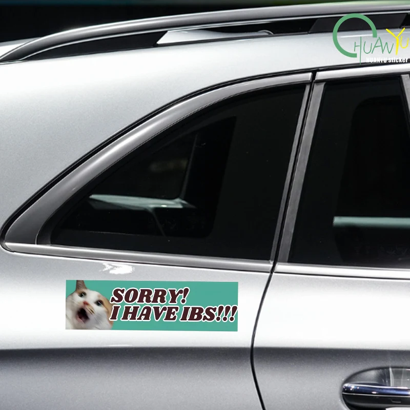 Cartoon Don't Honk, I'm Sensitive! Cat Car Sticker Bumper Window Helmet Decal Waterproof Car Decor Animal Pattern Vinyl Decals