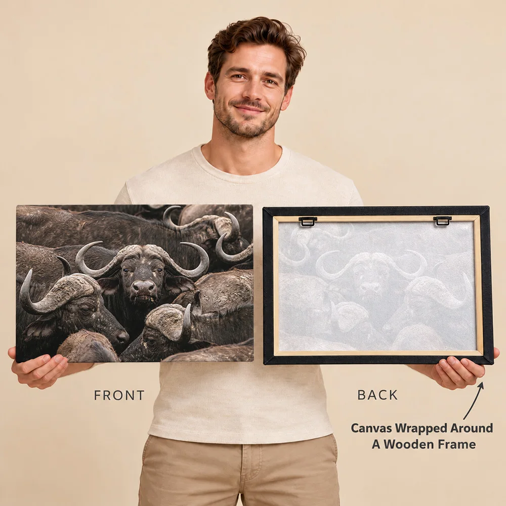African Buffalo Herd Wildlife Gallery Wrapped Canvas Print Customized Photo Natural Closeup Wall Art For Study Nature Lover Gift