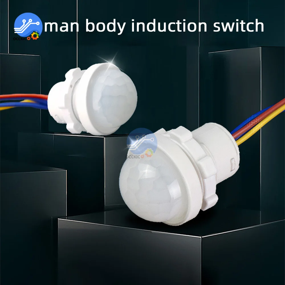 DC12-24V LED PIR Sensor Detector Smart Switch 220V110V Infrared Human Body Motion Time Delay Mode Lighting Induction Automatic