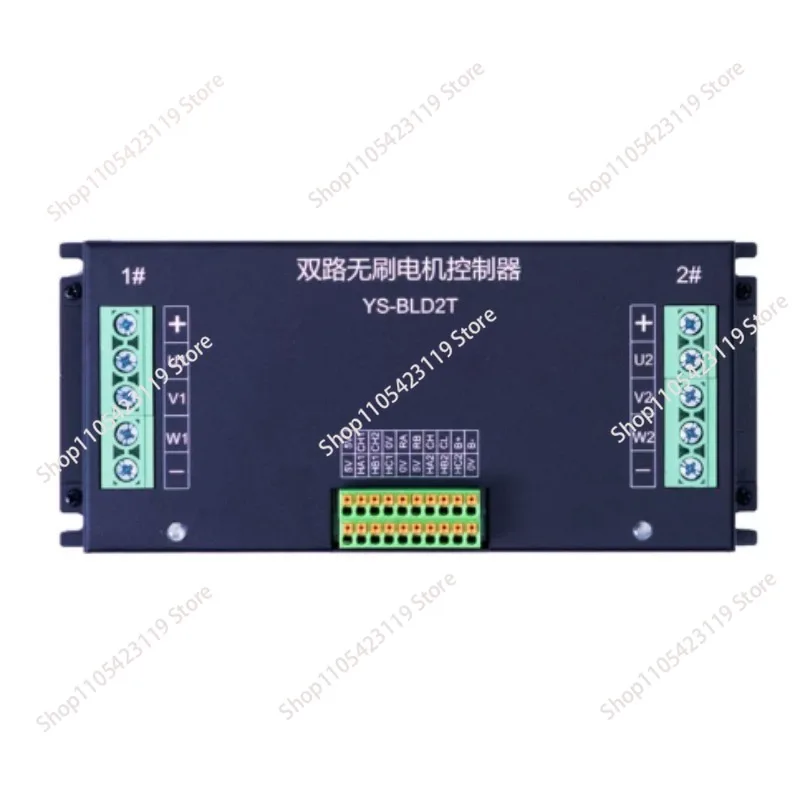 Dual-channel Brushless Motor Drive Belt Mower Controller Industrial Remote Controller 750-2000W