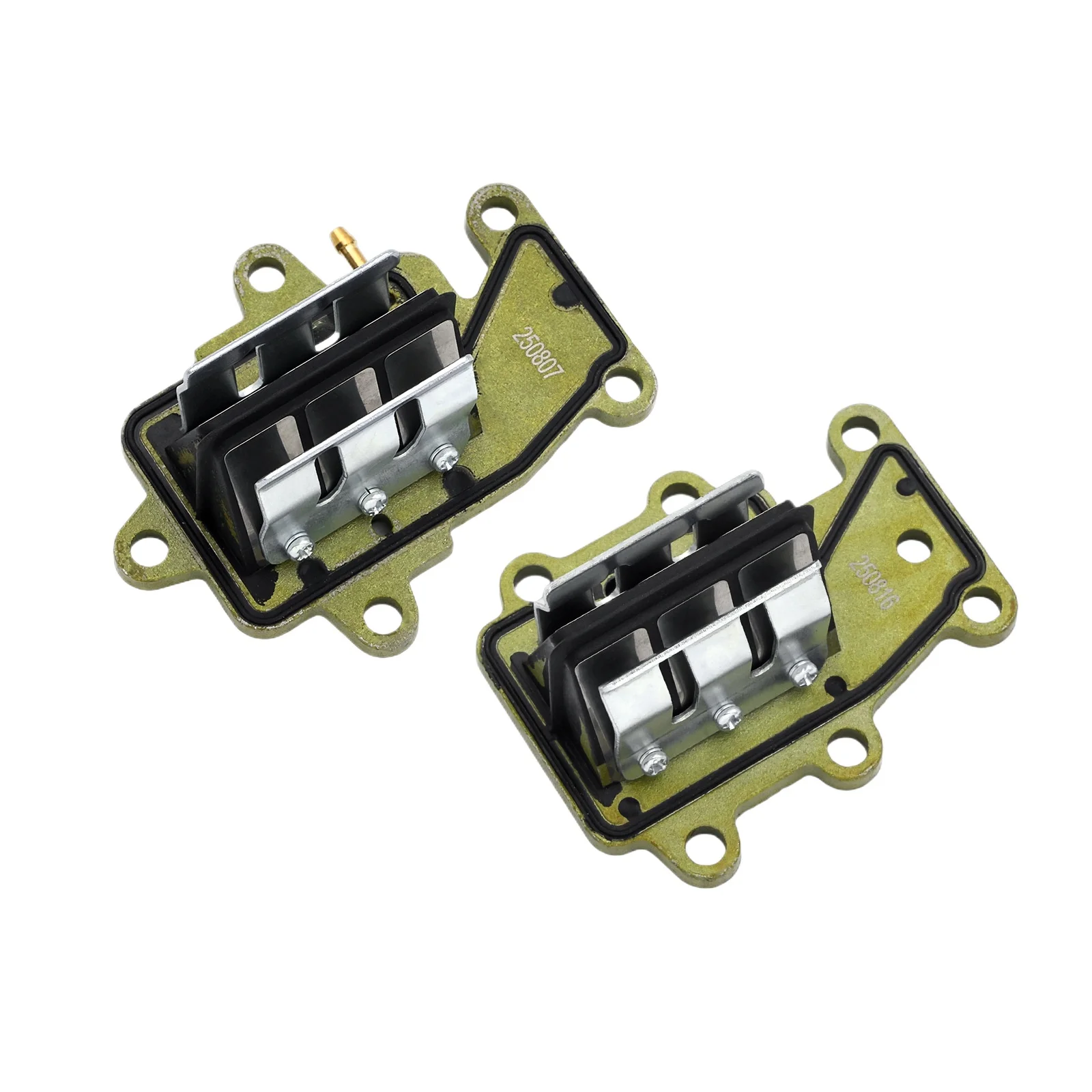 Intake Valve Assembly, Outboard Motor Replacement Parts Compatible with Outboard Engine