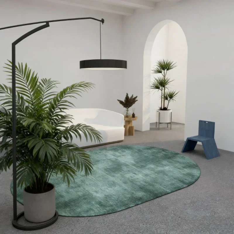 Light Luxury Carpets for Living Room Anti-slip Cloakroom Soft Rug Minimalist Bedroom Decor Oval Carpet Washable Lounge Floor Mat