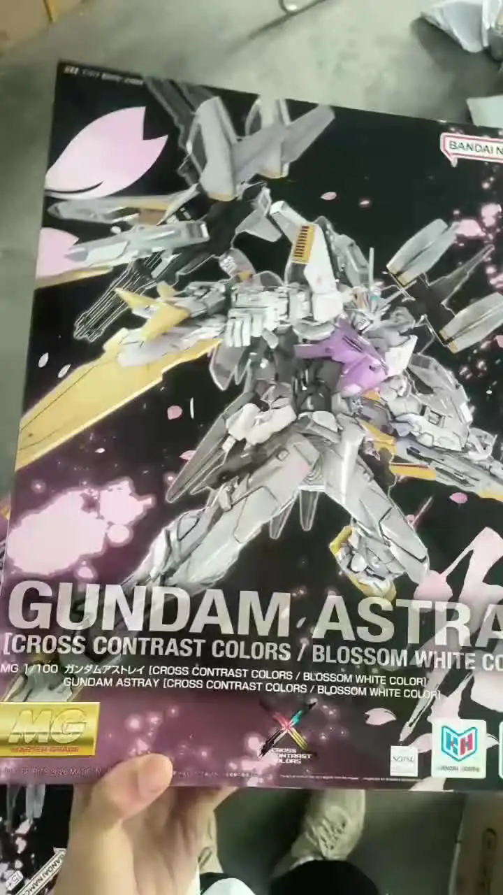 バンダイ中国 PB LIMITED MG 1/100 ガンダムアストレイ [クロス