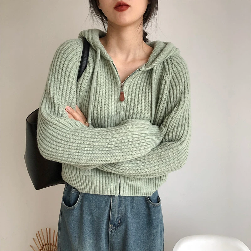 Coreano sle com capuz de malha cardigan feminino primavera outono faion casual zíper ort versátil camisola branca jaet