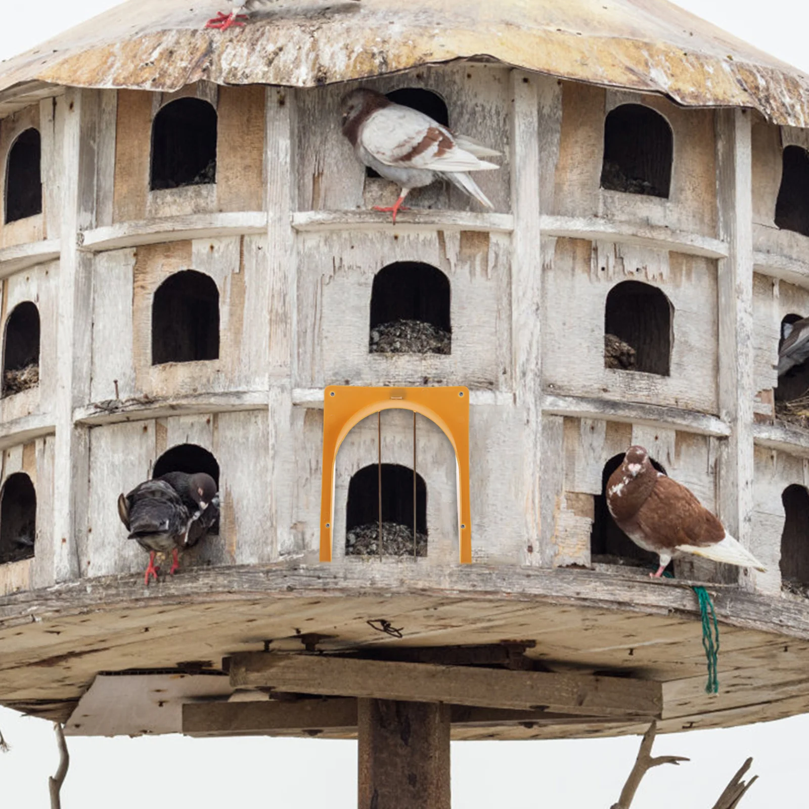 2 قطعة باب سباق الحمام الثقيلة قفص الطيور الباب التصميم الأوروبي لمنزل الحمام تركيب سريع وصول مريح