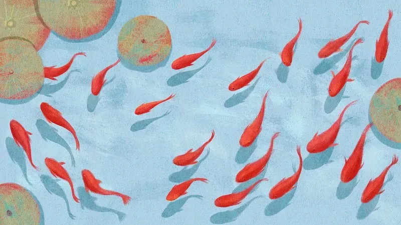 

Металлическая рама шасси, обработанная на станке с ЧПУ, для модернизации и переоборудования, для радиоуправляемых моделей FMS 1/24 Xiaoqi FCX24.