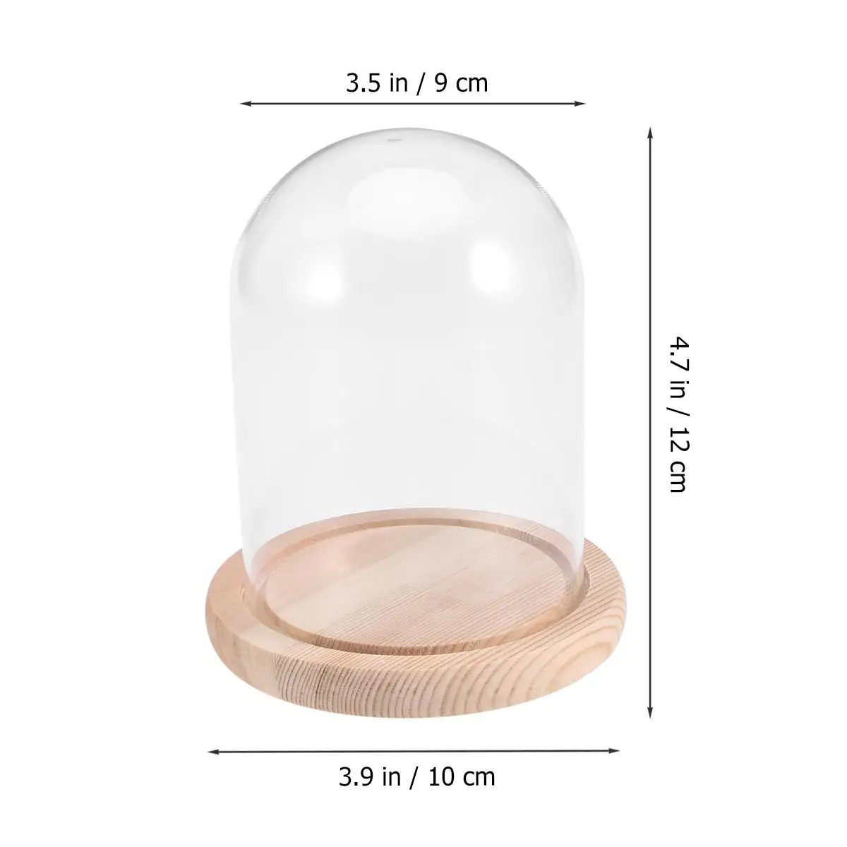

Transparent Glass Flower Dome 9x12cm Black Wooden Storage DIY Craft Valentine Gift Home Transparent Glass Cover Tool