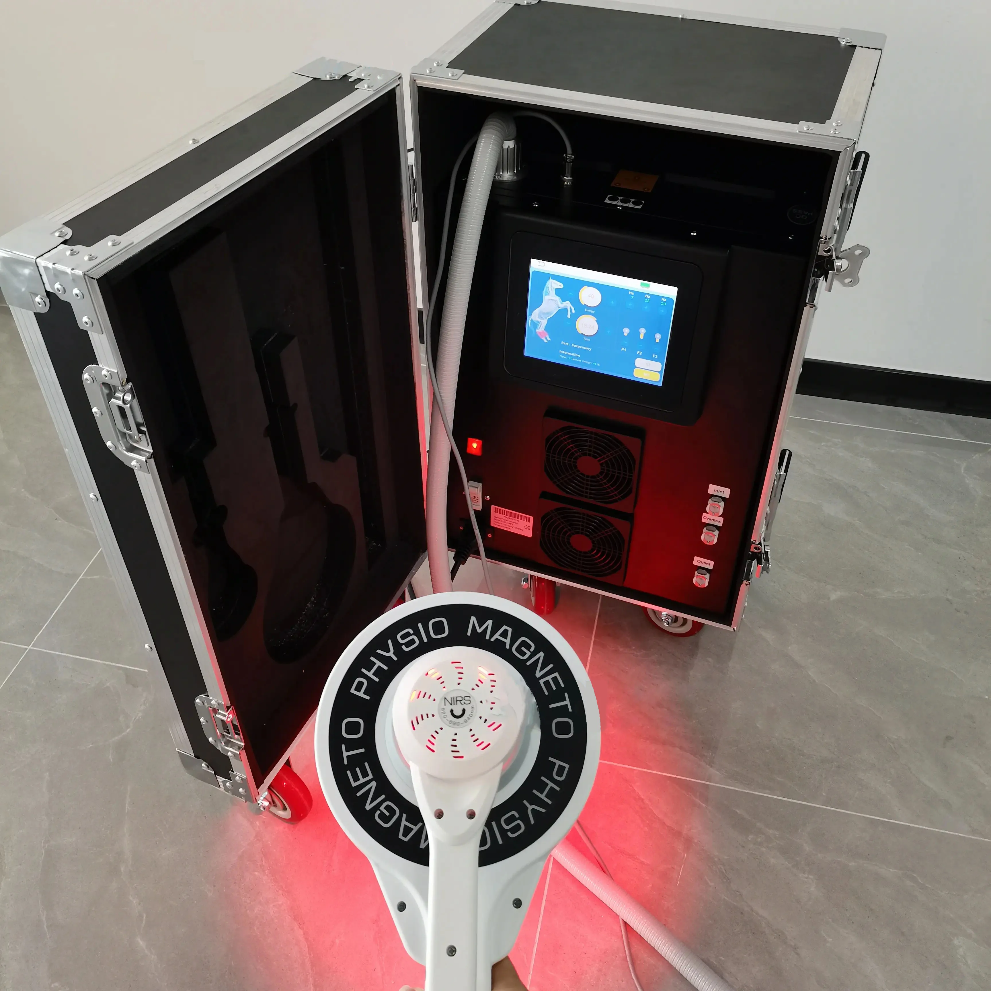 Equine PEMF Physiotherapy Machine With CE And Medical Certificate Pulse Electromagnetic Field To Horse Body For Pain Relief