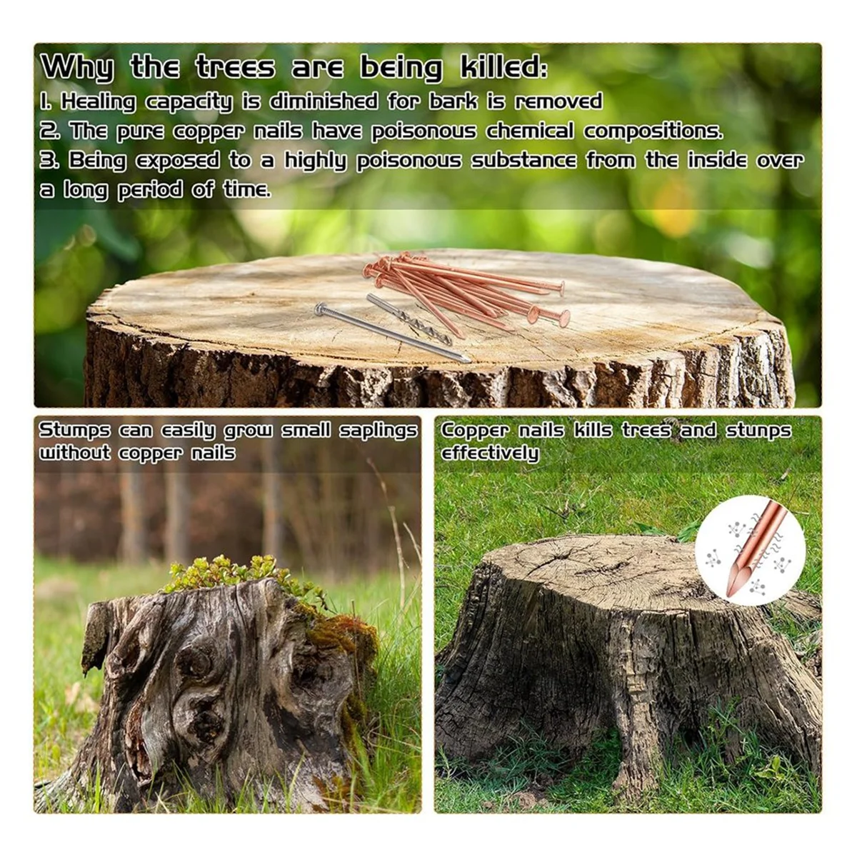 나무를 죽이는 질적 14Pcs 구리 손톱 키트, 3.5 인치 순수 구리 손톱 대량, 나무에 대한 그루터기 제거 스파이크 하드웨어 손톱