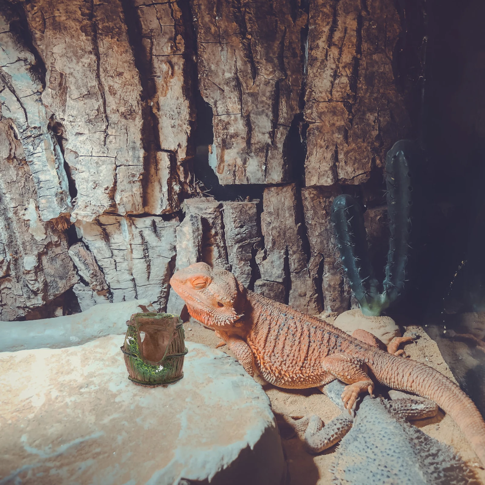 

Cave Small Spider Box Transparent Terrarium Reptile Rocks Aquarium Decor Bearded Dragon Tank Tortoise Habitat Fish Hideout