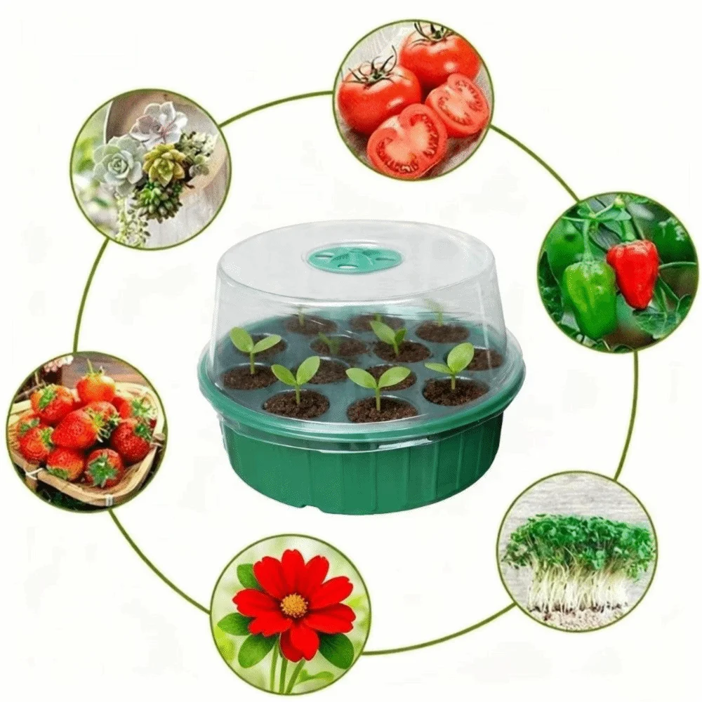 13 Hole Plant Seedling Tray Transparent Cover Insulated Hydroponic Seedling Tray Moisture Retention Plastic