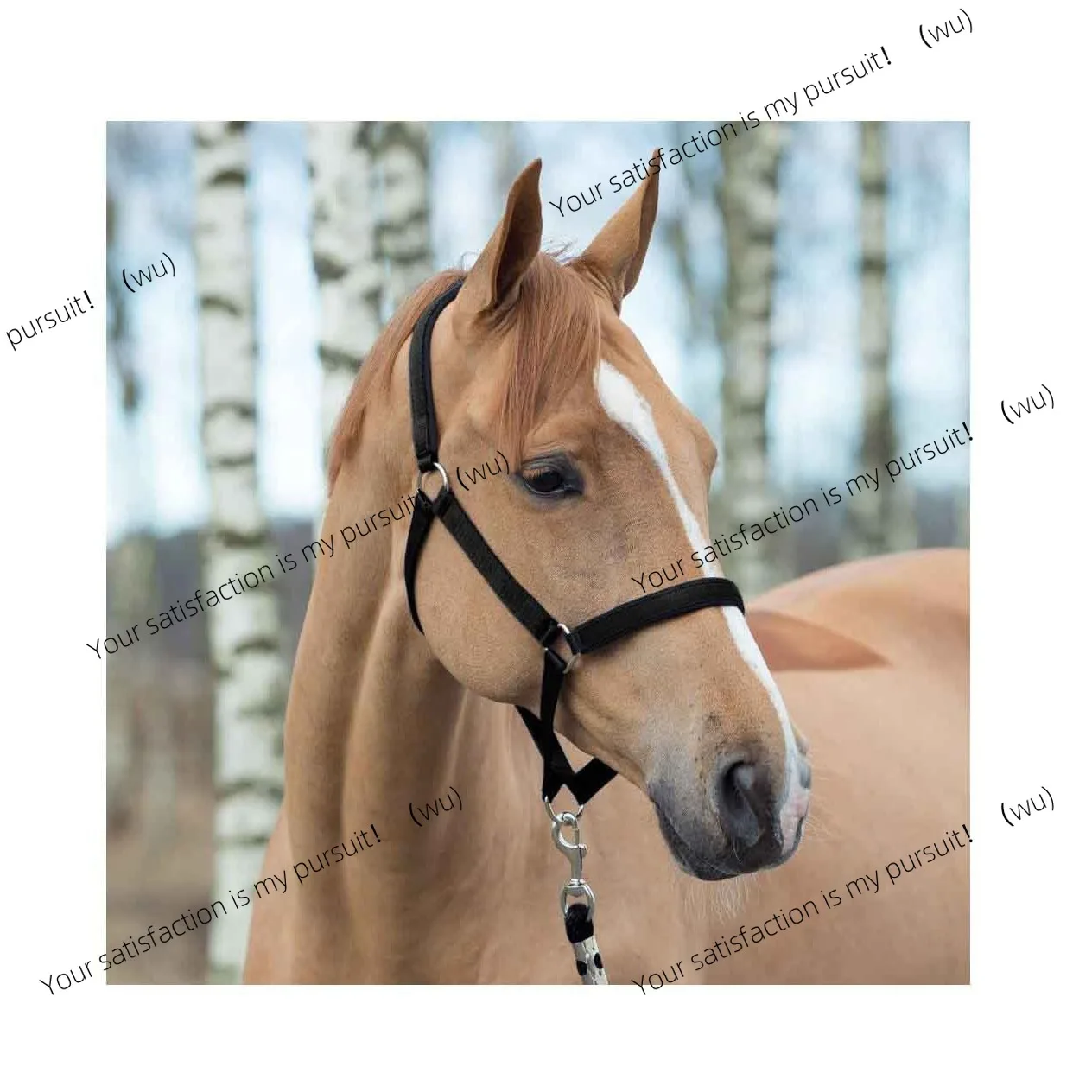 Horse harness and protective gear supplies Bridle series can also choose different styles and colors