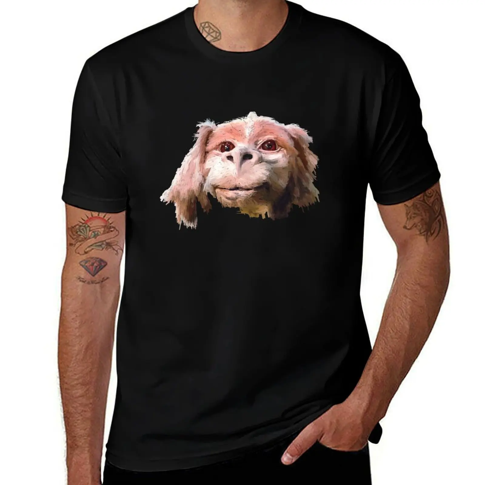 

Luck a Dragon Falkor T-Shirt Plus Size Comfort Fit Tee