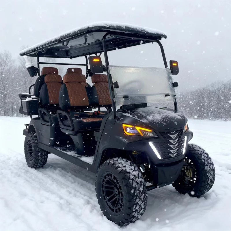 سعر المصنع المنخفض جودة عالية 2 4 6 8 مقاعد 48/60/72 فولت 4000/5000/7500 واط عربة جولف كهربائية للنادي