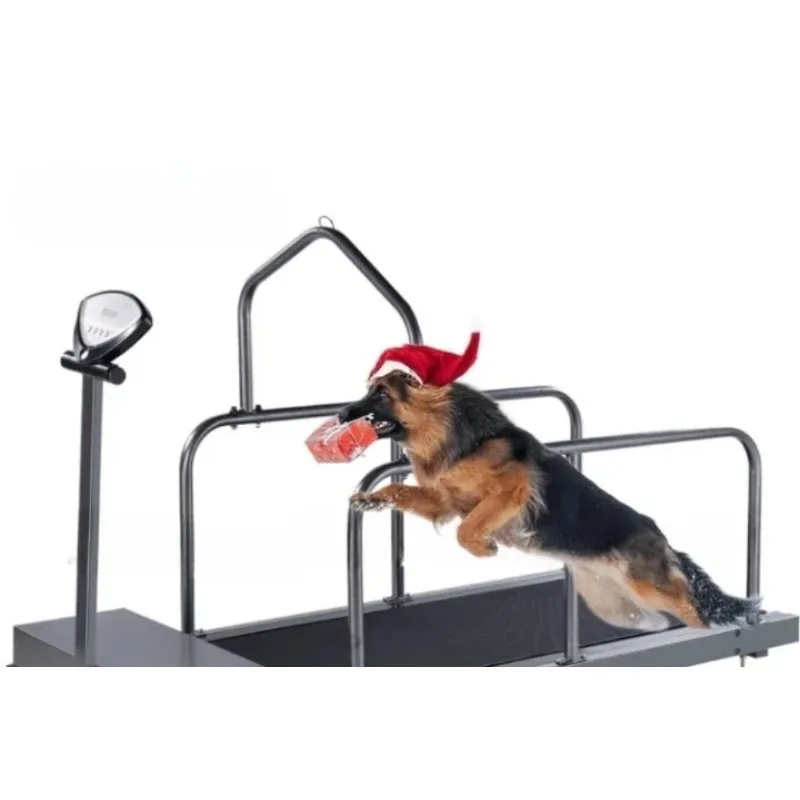

High Speed Dog Treadmill for Training And Rehabilitation Factory Direct Pet Walking Machine Equipment