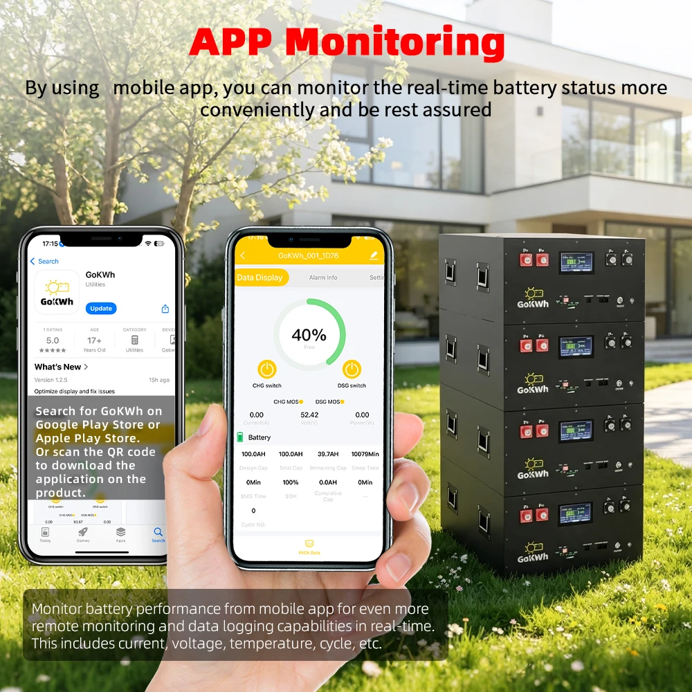 APP Control 48V 320Ah Lifepo4 Battery Pack 2A Active Balancing With LCD Screen Built-in 16S 200A Smart BMS 16.384kWh 51.2V Rechargeable Lithium Iron Phosphate Cell For RV Home Solar Energy Storage