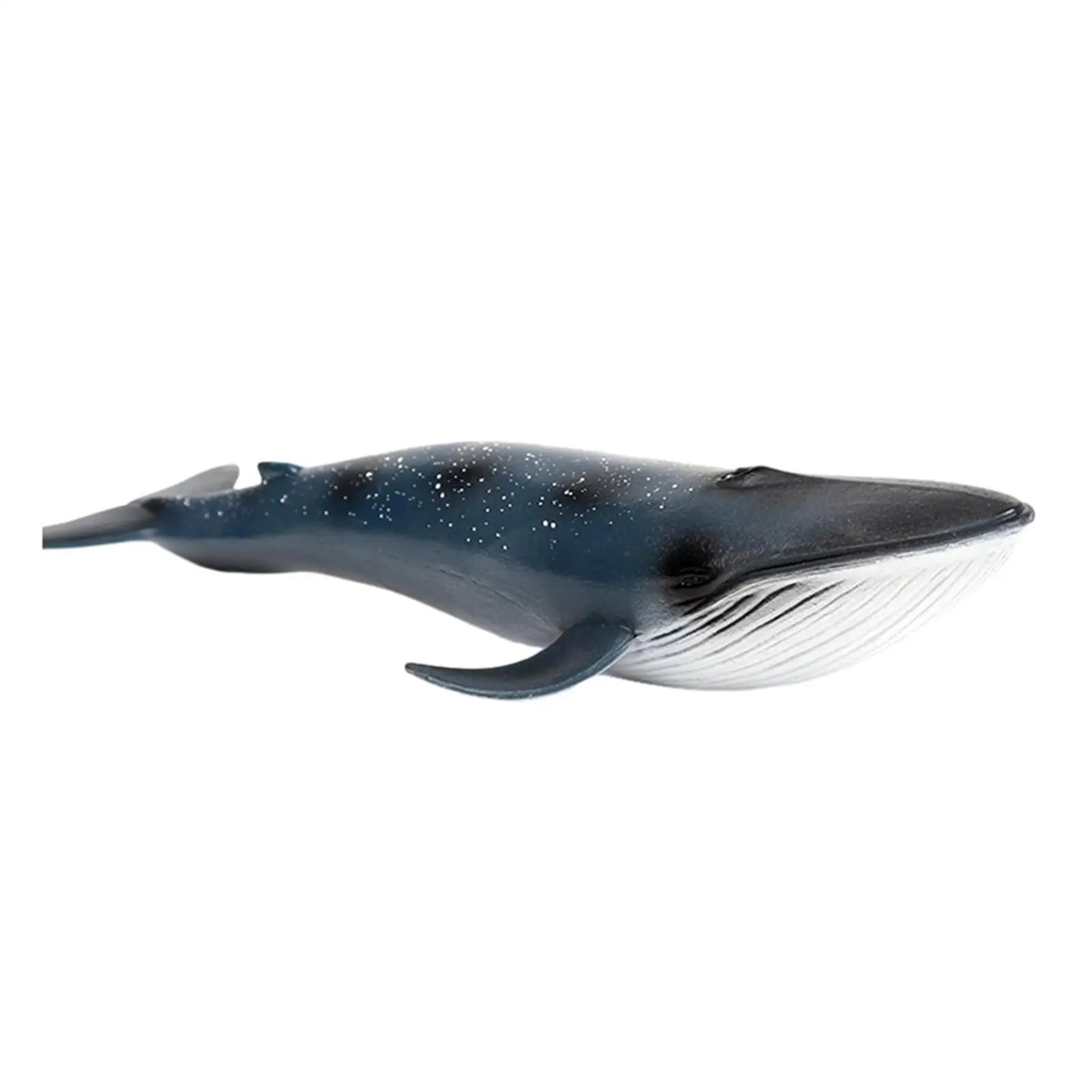 Colección de modelos de ballena azul, figuras de ballena, modelo de juguete para niños y niñas