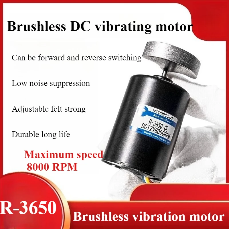 R-3650 Brushless DC Vibrating Motor Is a Variable-Speed Planetary Gear High-Torque 12V - 24V Micro Motor