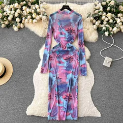 Sexy See Through Mesh Printed Bodycon Dress 2025 Women Summer Fashion O Neck Long Sleeve Slim Stretch Club Party Maxi Dress
