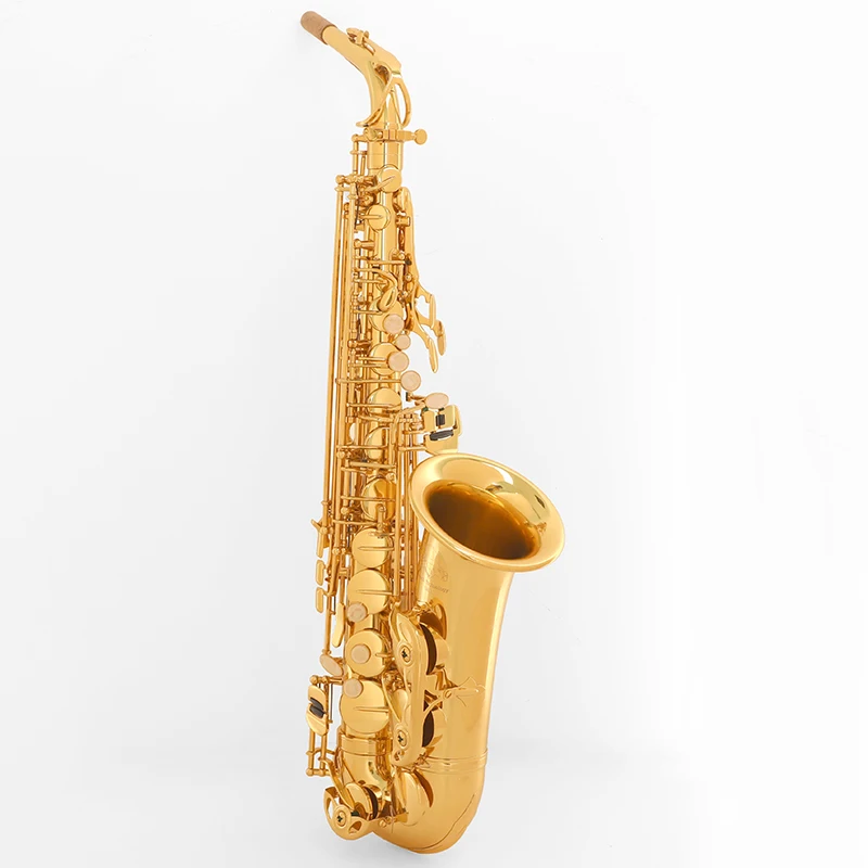 ALEX AAS-200 Eb alto Saxophone Musical instrument Grown-ups Beginners