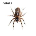 J 6G