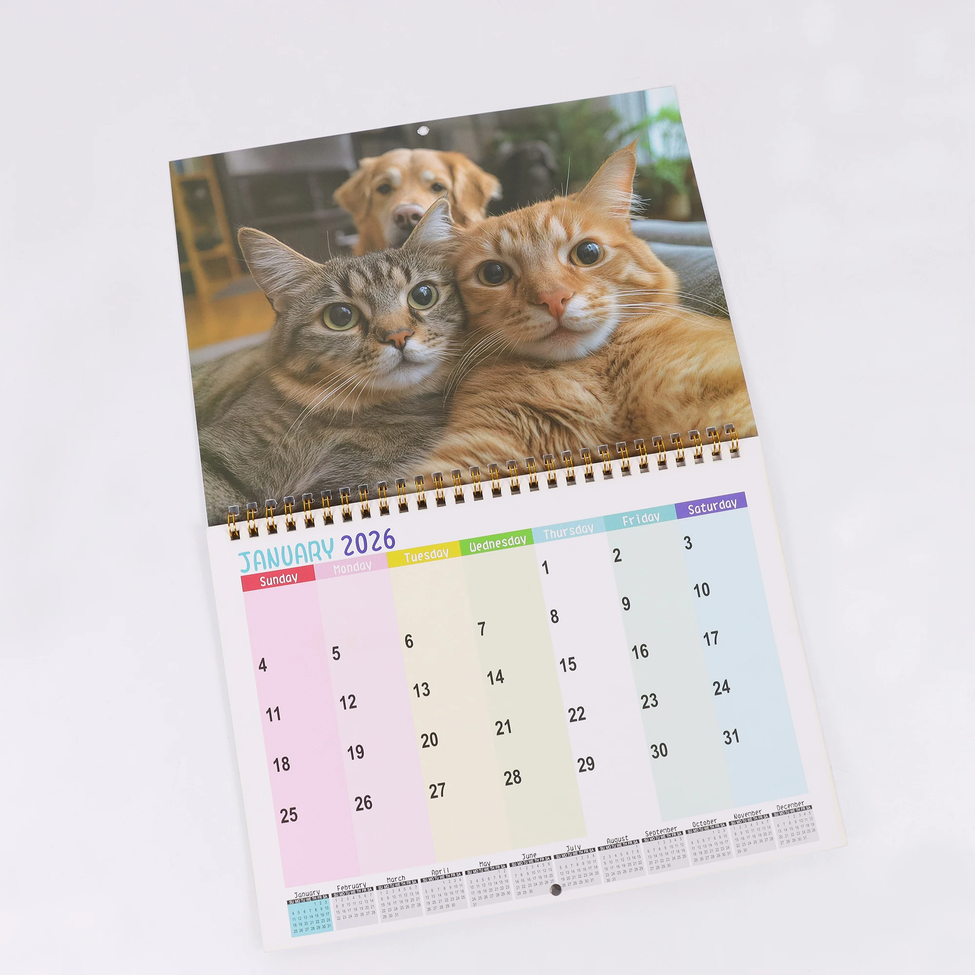 Calendario da parete 2026 Cat and Friends - Fun Cat Selfie Series, 12 mesi di foto, regalo perfetto per gli amanti dei gatti, lingua inglese