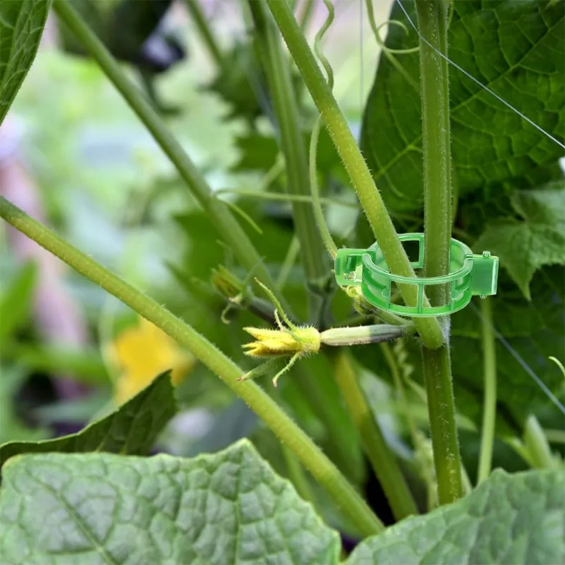 

Plant Clips Plant Support Plant Stand Gardening Tools and Equipment Plastic Tomato Vine Fixing Clip Climbing Vine Hanging Clip