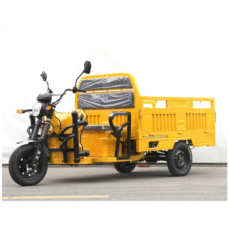 

3 Wheel Electric Truck 60V45A 1000W Home Climbing Pickup