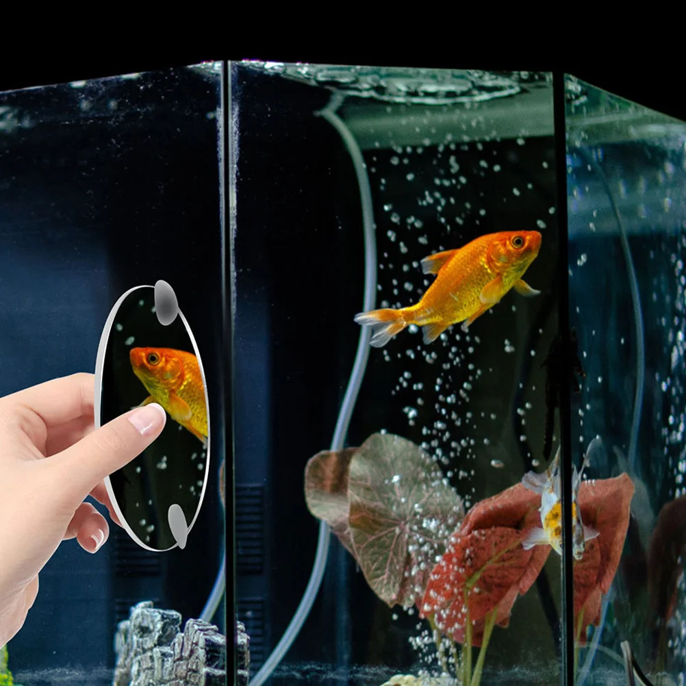 

Aquarium Suction Cup Training Tool Acrylic Decoration For Fish Tank Accessory Decorative Betta Mirror Fish Tank Betta
