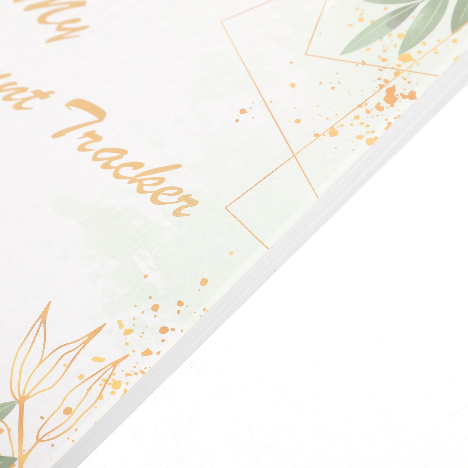 Chèque enregistreuse livre Balance Ledger organisateur financier Portable comptabilité cahier dépenses Tracker outil de budgétisation